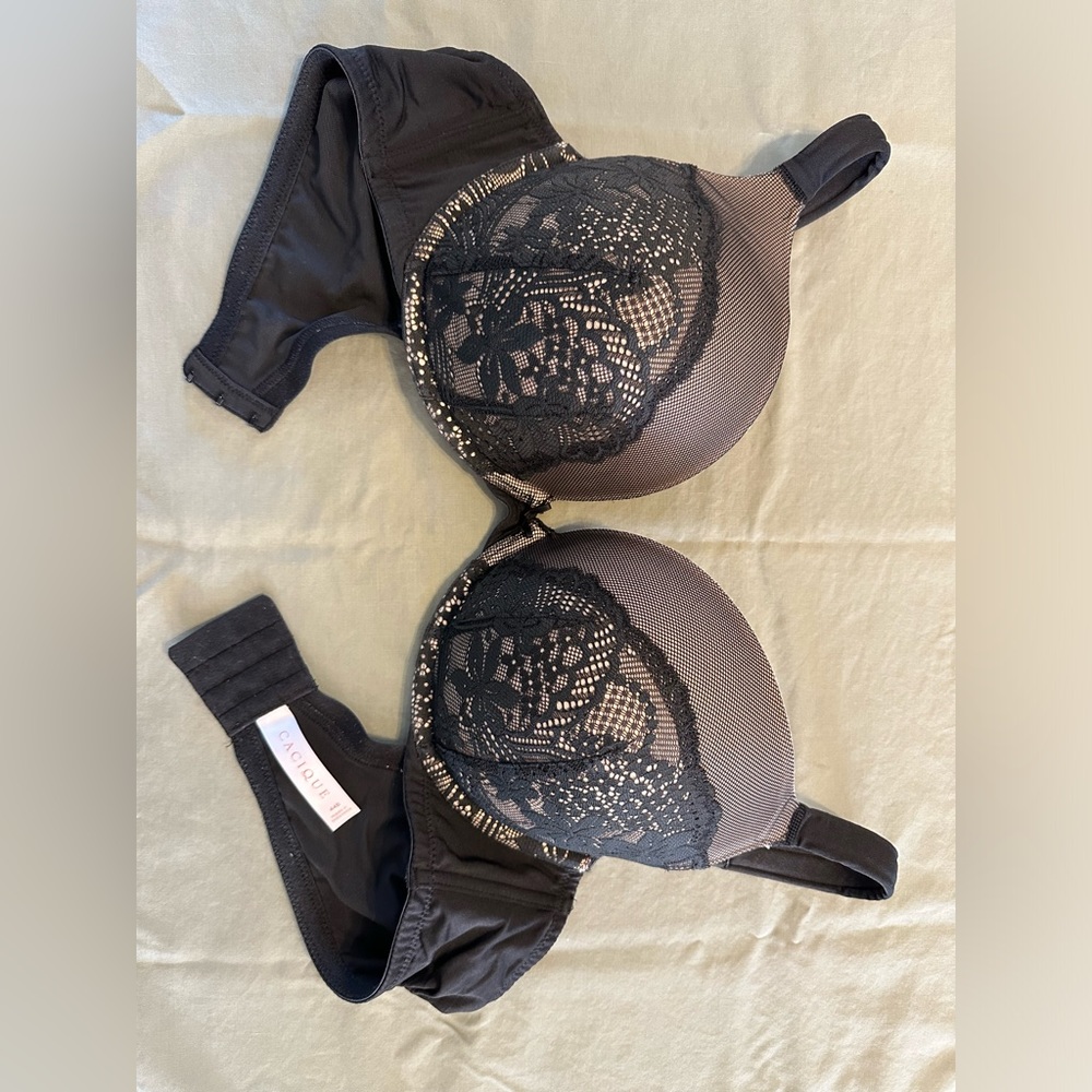 Lane Bryant Smooth Boost Plunge Bra with Lace